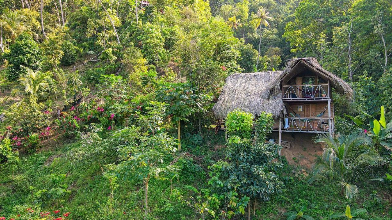 Finca La Selvita Chocolate Experience Buritaca Ngoại thất bức ảnh
