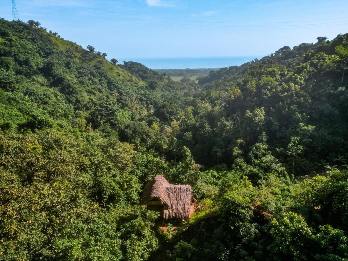 Finca La Selvita Chocolate Experience Buritaca Ngoại thất bức ảnh