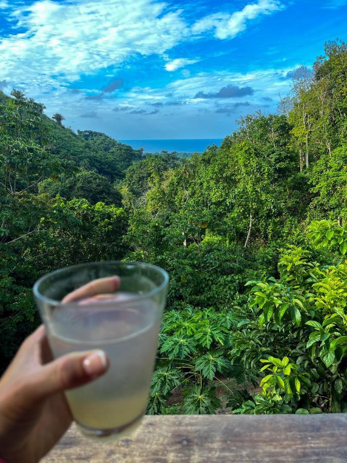 Finca La Selvita Chocolate Experience Buritaca Ngoại thất bức ảnh