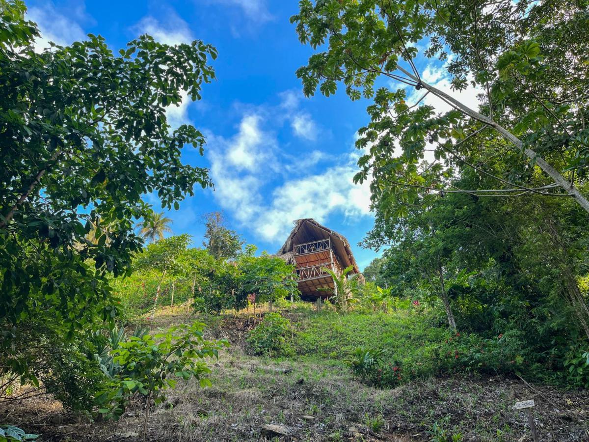 Finca La Selvita Chocolate Experience Buritaca Ngoại thất bức ảnh