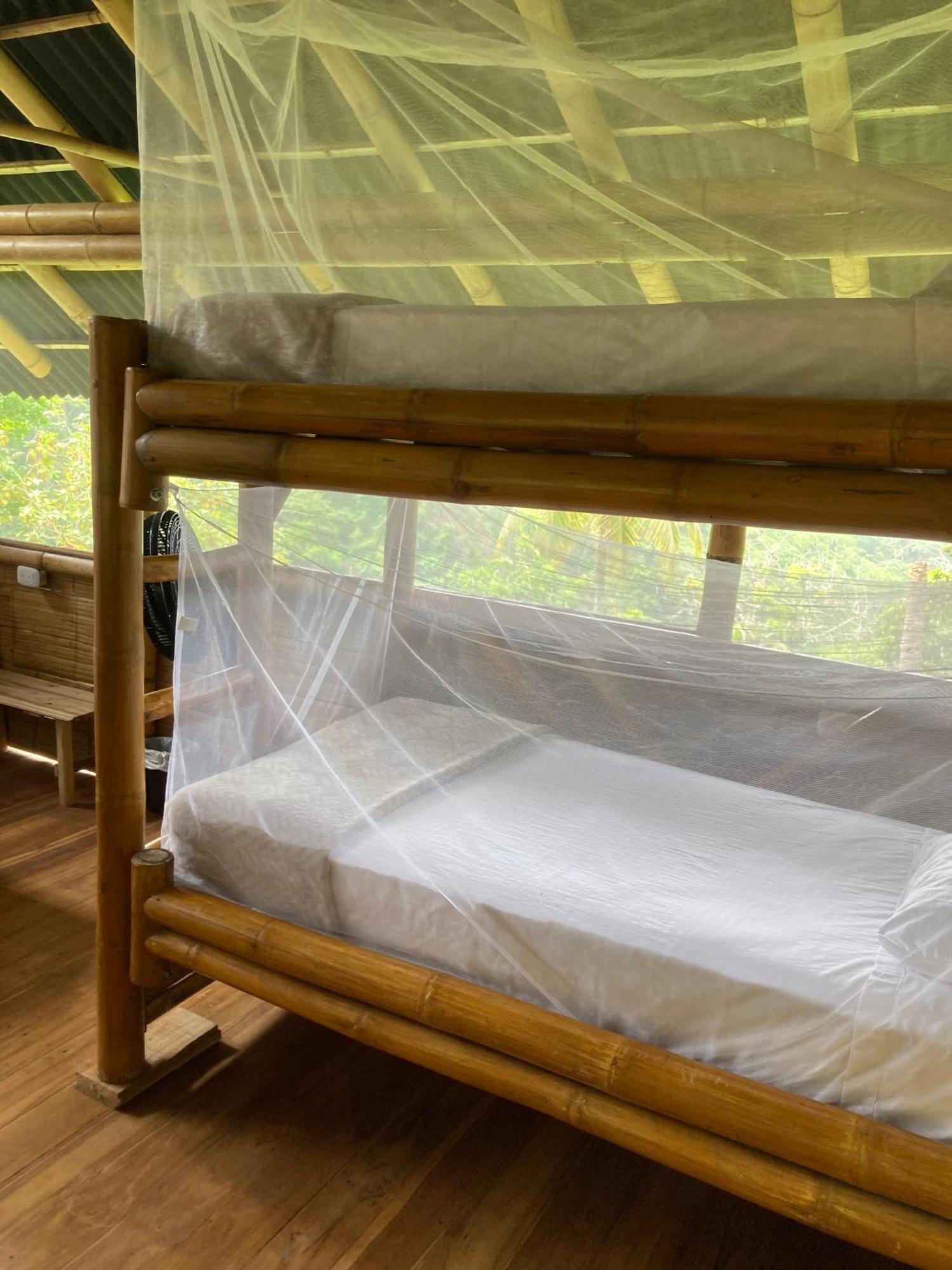 Finca La Selvita Chocolate Experience Buritaca Ngoại thất bức ảnh