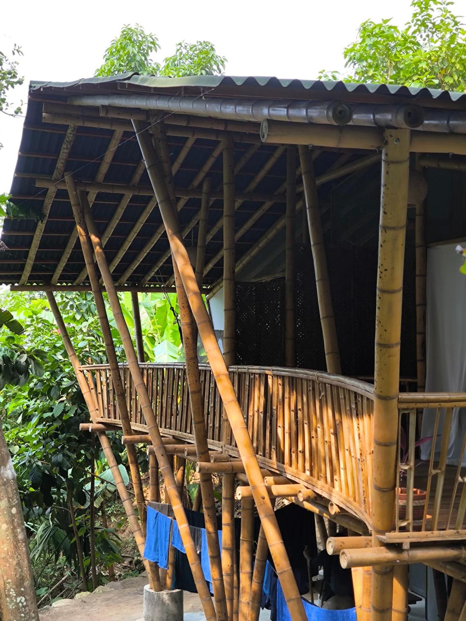 Finca La Selvita Chocolate Experience Buritaca Ngoại thất bức ảnh