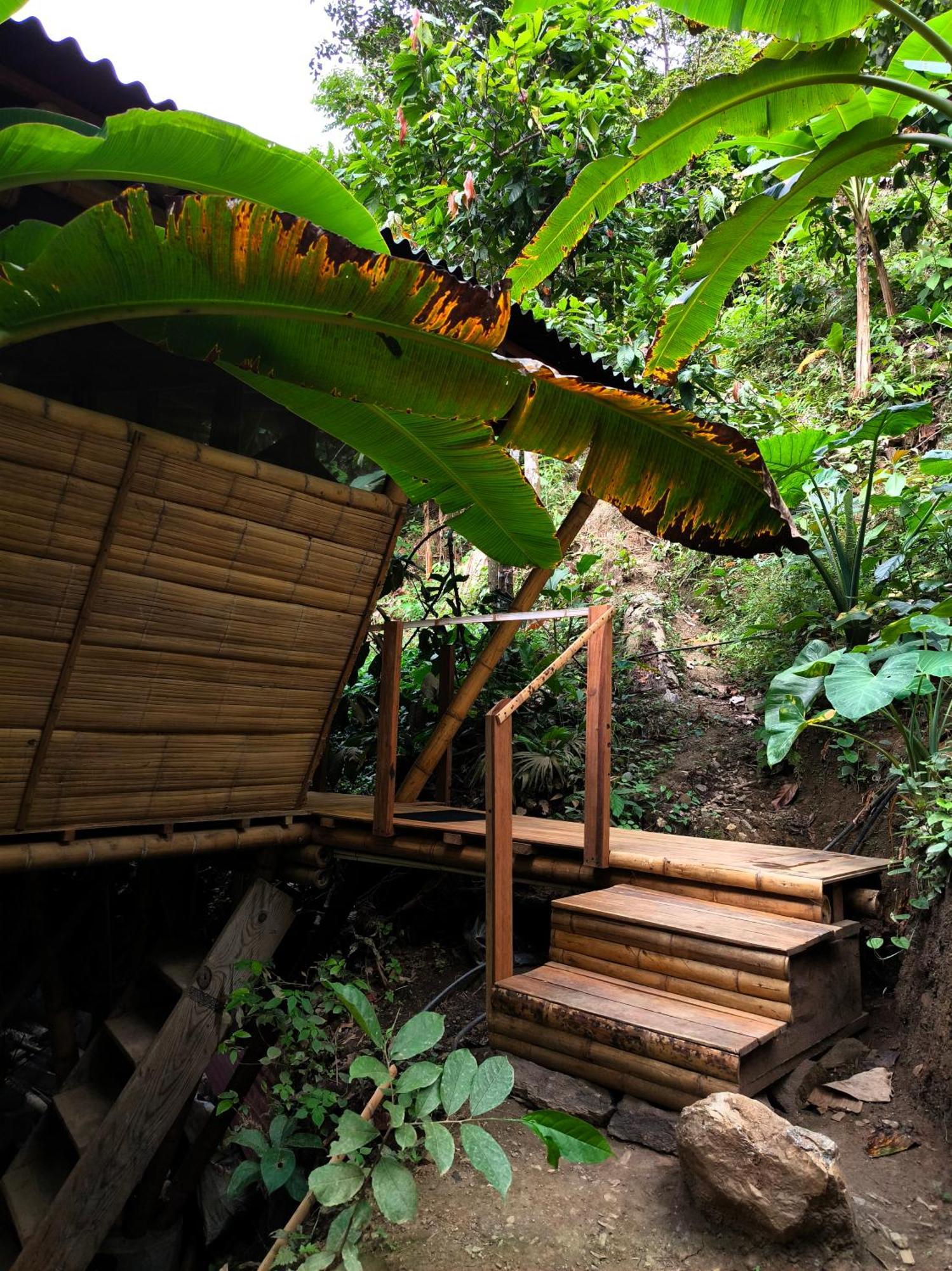 Finca La Selvita Chocolate Experience Buritaca Ngoại thất bức ảnh