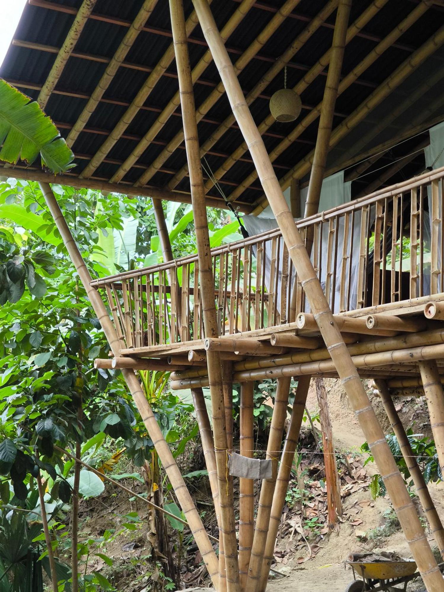 Finca La Selvita Chocolate Experience Buritaca Ngoại thất bức ảnh