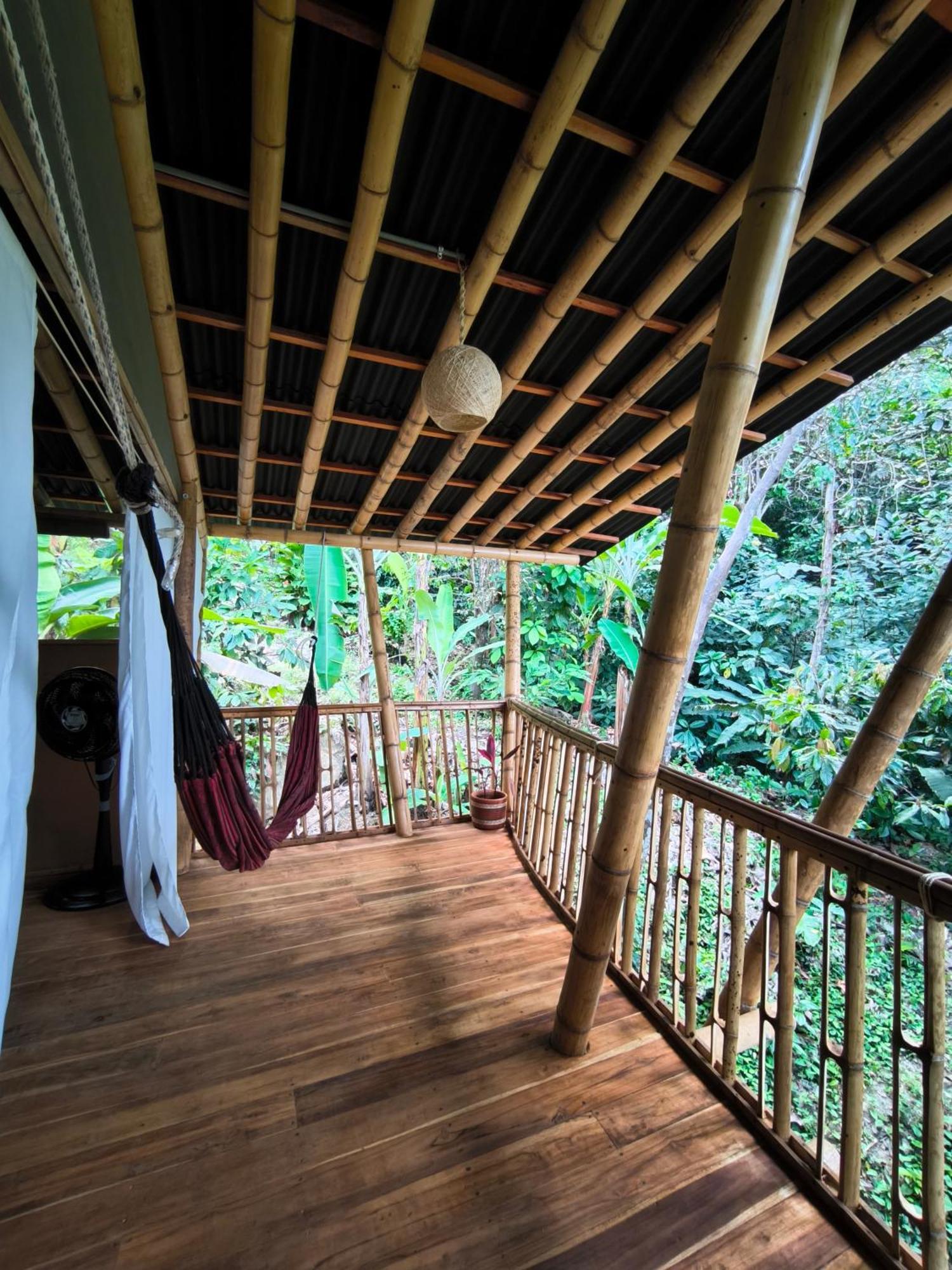 Finca La Selvita Chocolate Experience Buritaca Phòng bức ảnh