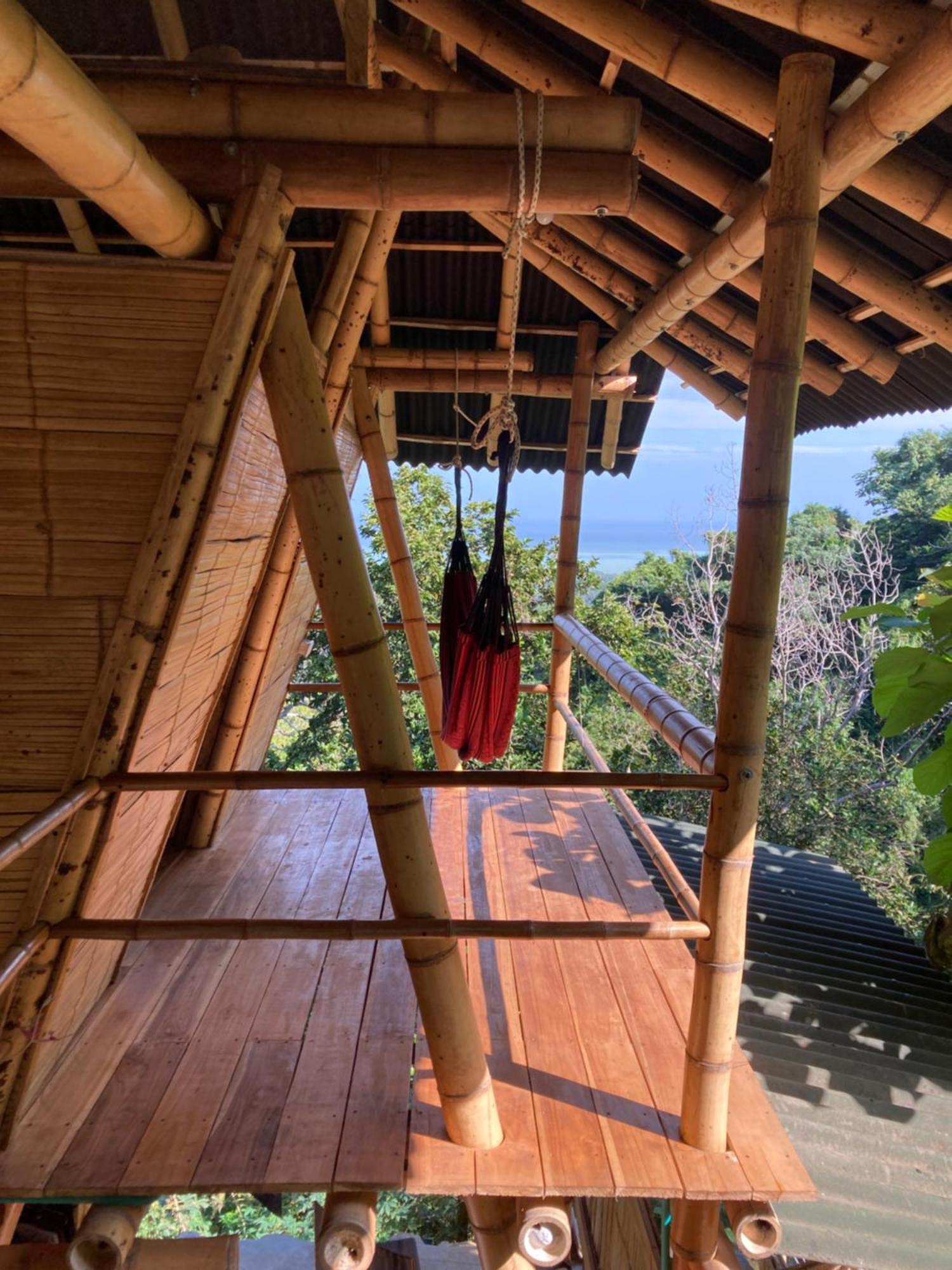 Finca La Selvita Chocolate Experience Buritaca Phòng bức ảnh