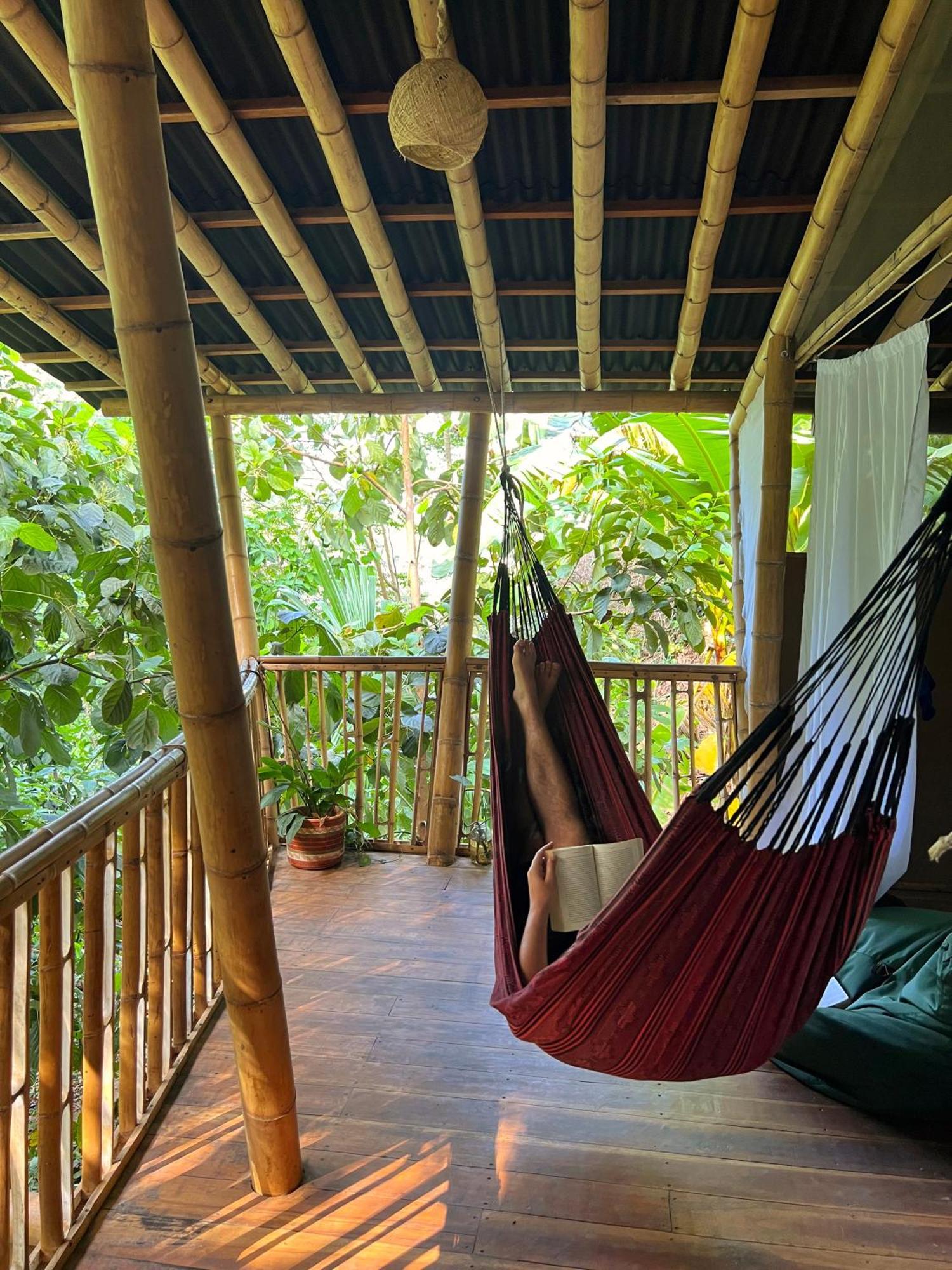 Finca La Selvita Chocolate Experience Buritaca Ngoại thất bức ảnh