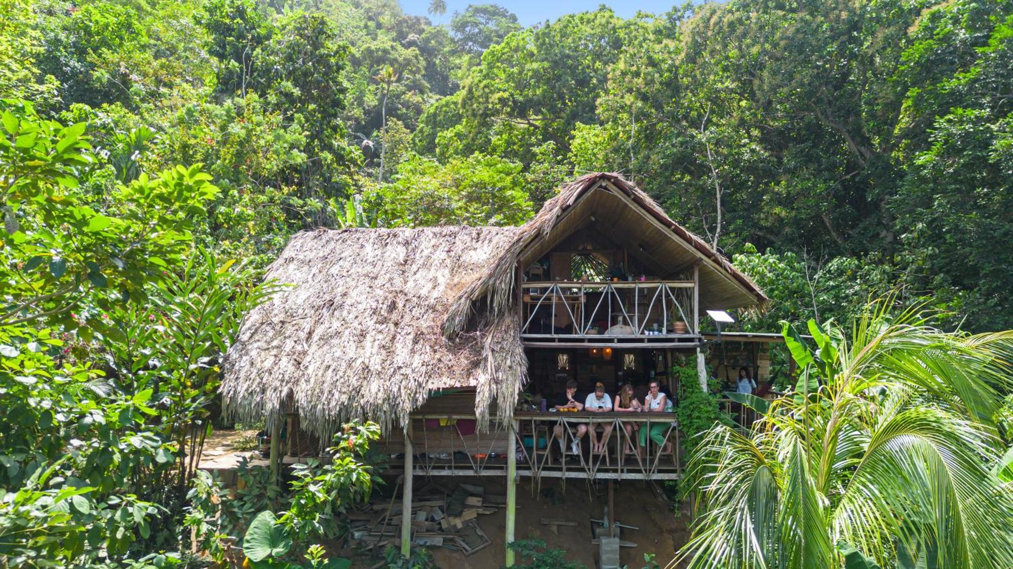 Finca La Selvita Chocolate Experience Buritaca Ngoại thất bức ảnh